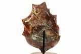 Polished Petrified Wood (Araucaria) Leaf with Stand - Madagascar #335214-3